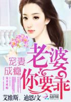 宠妻成瘾：老婆，你要乖