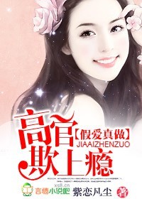 总裁的小妻子