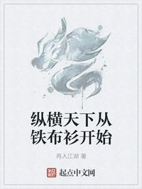 纵横天下从铁布衫开始TXT