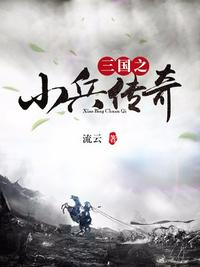 三国之小兵传奇好看吗