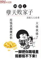 网游之天谴 小说