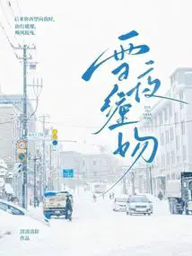 雪夜小说