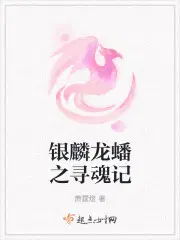 王妃又去打劫了全文