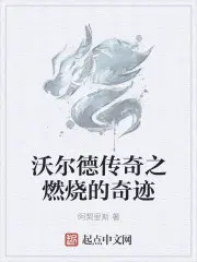 沃尔德传奇之燃烧的奇迹