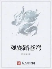 魂宠踏苍穹