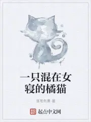 一只混在女寝的橘猫