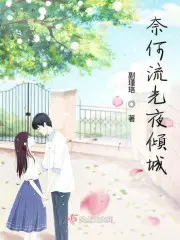 奈何倾城什么意思