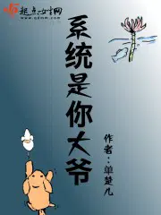 系统是你大爷