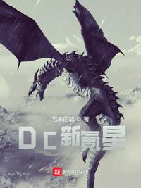 DC新氪星作者:宅家的聪