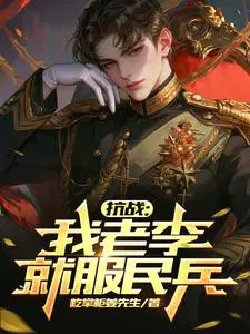 抗战:我老李就服民兵的小说