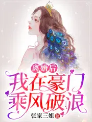 离婚后我在豪门乘风破浪凌曼辛浩然伊凡