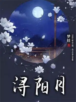 浔阳月的小说