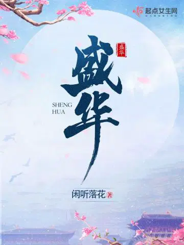 盛华小说