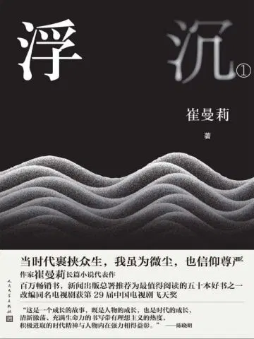 浮沉1（白百何、张嘉译主演同名电视剧原著）