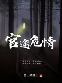 官途危情作者:巴山破晓 笔趣阁